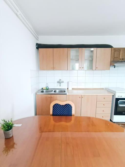 Quiet And Renovated Free Parking Free Wifi Liubliana